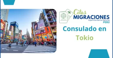 Consulado de Peru en tokio direccion horarios y telefono para citas