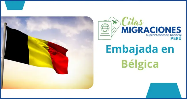 Embajada de Peru en belgica direccion horarios y telefono para citas