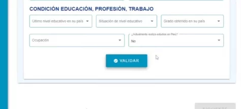 ptp peru solicitud